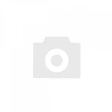 Eleven Indian Golfers Lead Strong Field at Singapore Open with Open Championship Pathway